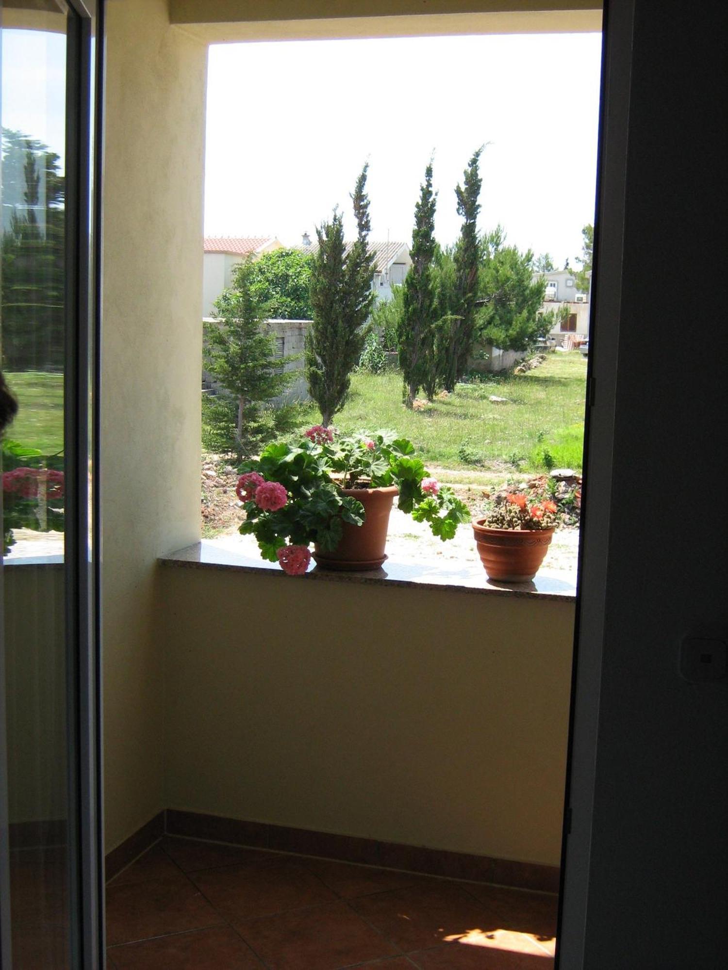 Apartments Ana Vir Bagian luar foto